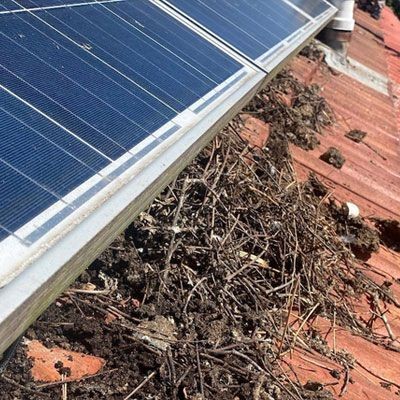 Close-up of debris and dirt accumulated beside solar panels on a red tiled roof.