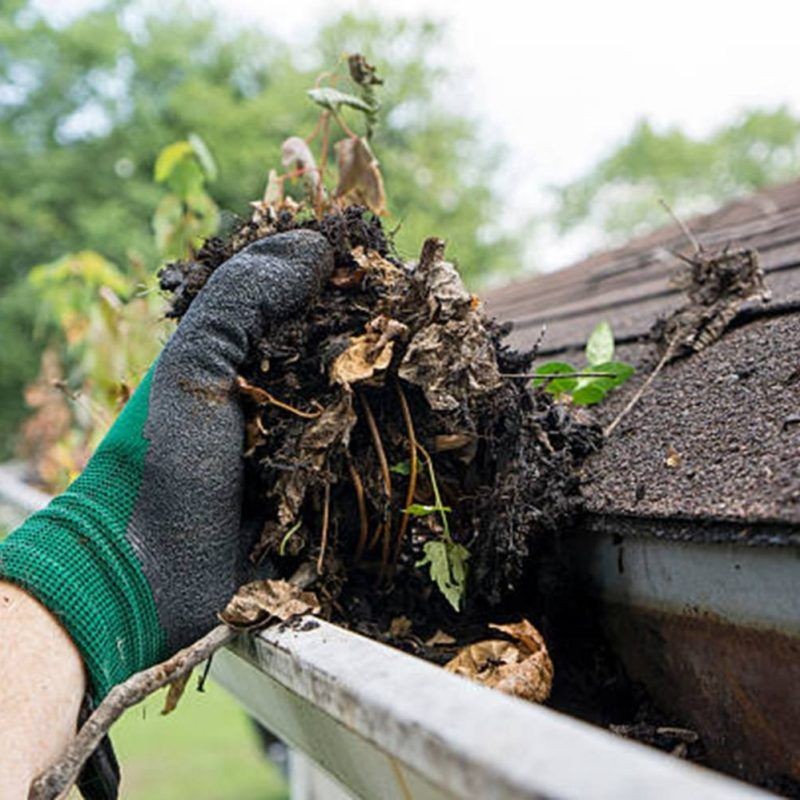 Person wearing green gloves removing wet leaves and debris from a house gutter during cleaning.