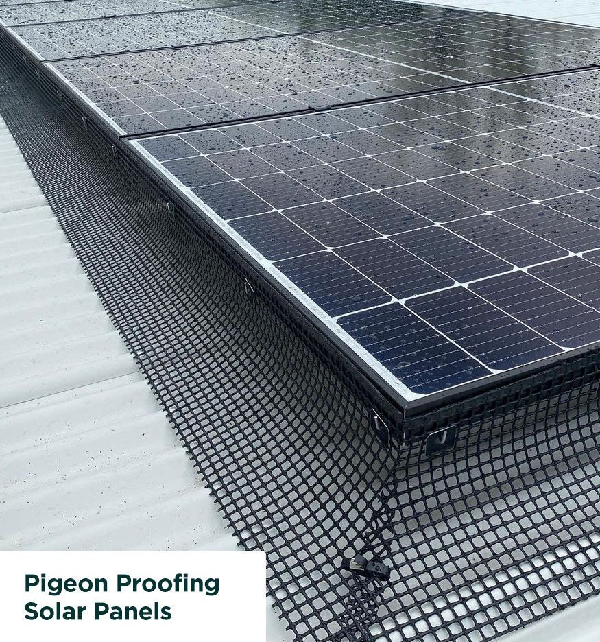 Solar panels on a roof with mesh netting for pigeon proofing.